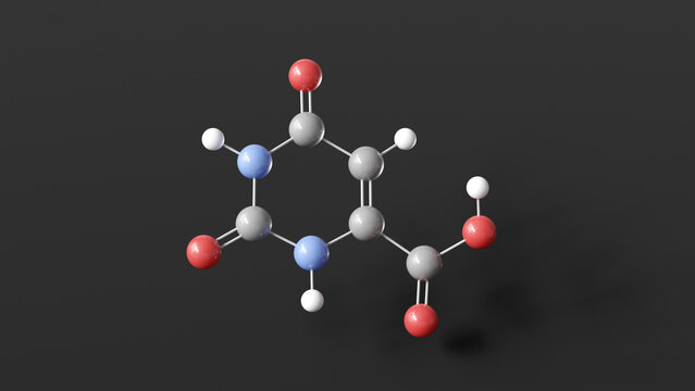 orotic acid molecule 3d, molecular structure, ball and stick model, structural chemical formula pyrimidine precursor