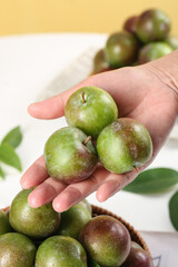 Fresh Green Plums in Hands Over Wooden Bowl - Organic Stone Fruit Harvest