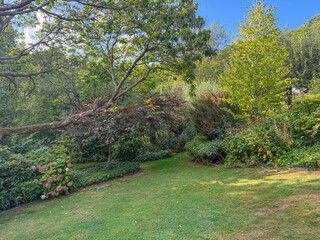 English green garden multiple type of trees and plants during sunny summer season