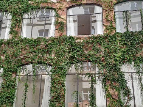 Fototapeta old house in provence france