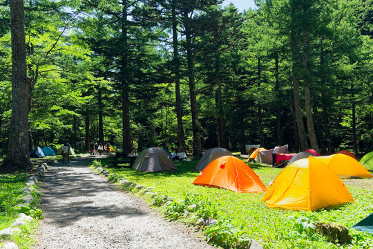 Colorful Tents in Kamikochi Camping Ground, Japanese Alps（上高地キャンプ場に並ぶカラフルなテント）