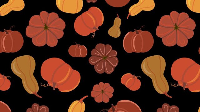 A festive pattern of colorful cartoon pumpkins and squash scrolls across a black background. Looping animation perfect for Halloween, Thanksgiving, or fall backgrounds.