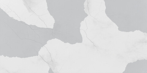 Abstract Cracked Texture Featuring Subtle Grayscale Patterns and Natural Details