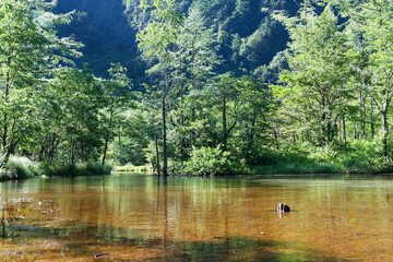Tashiro Pond in Kamikochi, Nagano Japan（長野 上高地の田代池）