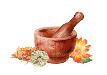 Watercolor composition with a wooden mortar and calendula flowers. Hand-drawn drawing of medicinal herbs