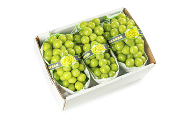 Fresh Green Grapes in White Box with Japanese Labels on Bright Background