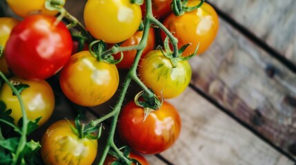 Rustic Mediterranean Cuisine: Garden-Fresh Produce, Vegetarian Meals & Vitamin-Packed Salads in a Traditional Kitchen