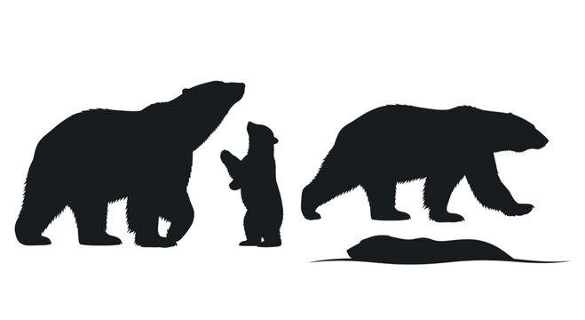 Polar bear family silhouette collection arctic wildlife nature scene vector