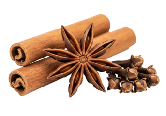 Autumn spices PNG transparent background isolated white fall seasoning set cinnamon stick star anise cloves