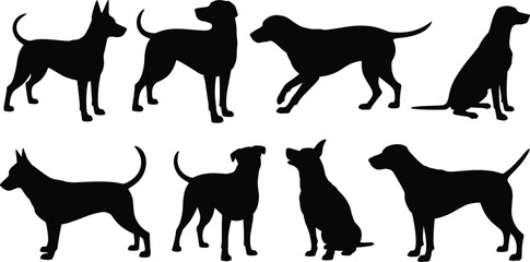 Silhouettes of various dog breeds in different poses, standing, sitting, walking, black shape, canine profile, pet animals, isolated on white background