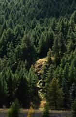 Mountain landscape in Pragelato in summer

