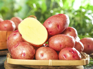 Fresh Red-Skinned Potatoes in Wicker Basket with Cut Half Showing Yellow Interior