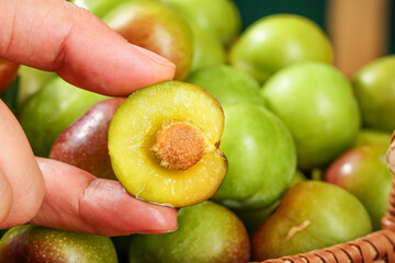 Fresh Green Plums Cut in Half Showing Yellow Pulp and Pit in Hand Above Basket