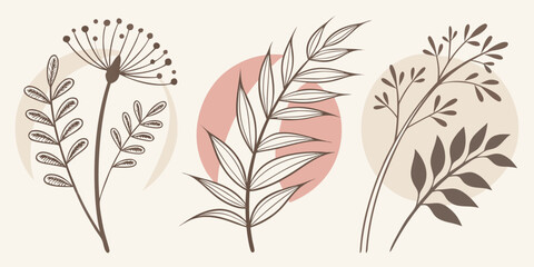 Botanical illustration with abstract shapes and leaves