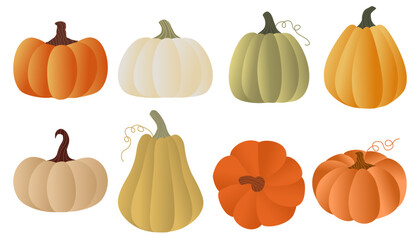 Set of 8 Colorful Pumpkins and  Squash in Warm Natural Fall Colors Isolated on White – Autumn, Halloween and Thanksgiving Design Elements