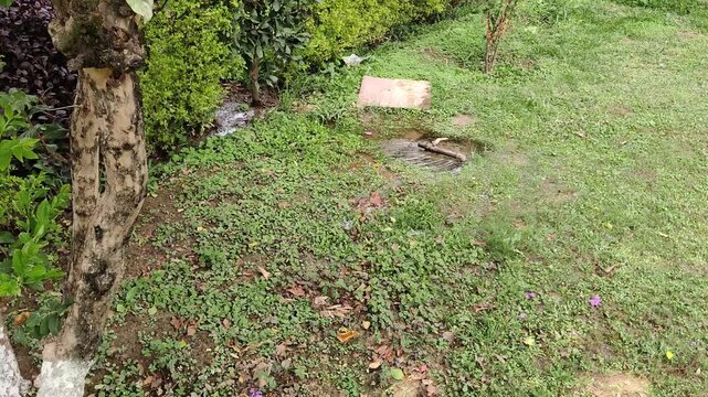 Neglected Open Garden Tap Wasting Water in Bright Sunlight Depicting Environmental Concern and Resource Loss