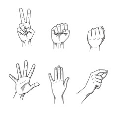 Fototapeta premium Illustration of Six Stylized Hands Showing Distinct Gestures, Black Line Art on White Background, Clean Front-Facing Design for Educational and Instructional Use