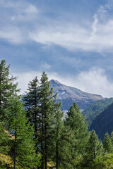 Obraz premium Mountain landscape in Pragelato in summer 