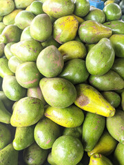 A pile of ripe avocados ready to be sold at the fruit market