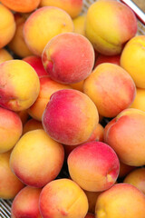 Fresh Red and Yellow Xinjiang Apricots Stacked in Basket - Organic Stone Fruit
