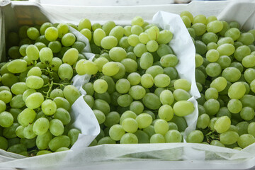 Fresh Green Grapes in White Boxes with Tissue Paper at Market Display
