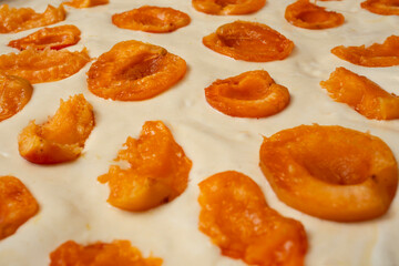 Raw sponge cake with peach halves, full frame side view close up
