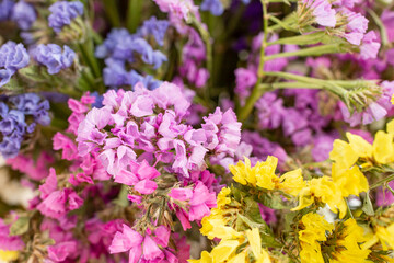 Obraz premium Bouquet of multicolored flowers close up texture (Limonium sinuatum, Statice sinuata) in a Variety of colors blue, lilac, violet, pink, yellow colors