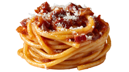 A gourmet portion of Bucatini all'Amatriciana, elegantly served as a pasta nest with guanciale sauce and grated Pecorino. Isolated food shot.