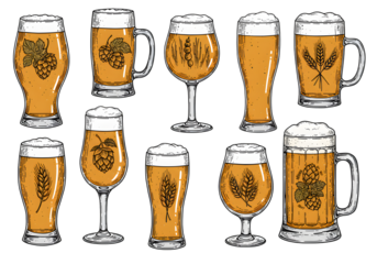 Collection Of Beer Glasses Illustration With Golden Brown Liquid And White Foam Isolated On Transparent Background