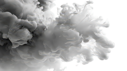 Abstract Gray And White Ink Cloud