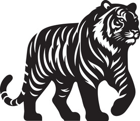tiger vector illustrations