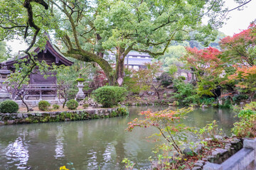 Beautiful serene Japanese garden with a pond and traditional temple.