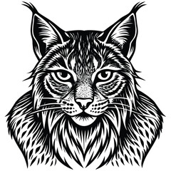 lynx