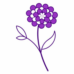 line art sweet alyssum purple flower vector on white background