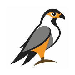 Fototapeta premium Stylized falcon in profile view bird raptor