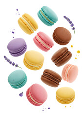 Obraz premium Colorful Macarons Floating With Lavender On Transparent Isolated Background