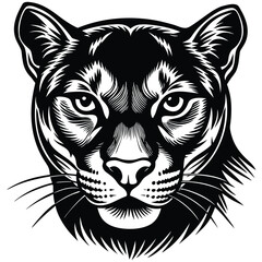 Fototapeta premium cougar