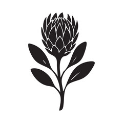 A Silhouette of a Rickshaw Bike a Traditional Mode of Transportation