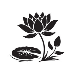 Silhouette of Modern Drone with Camera for Aerial Photography Innovation and Recreational or Commercial Use