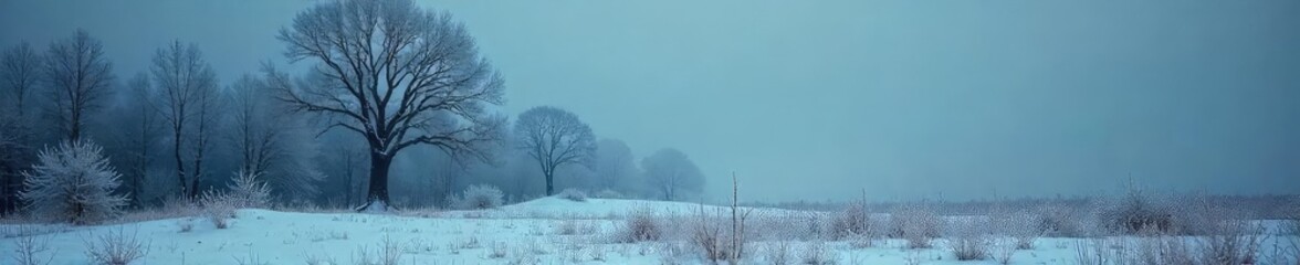 Fototapeta premium A chilling winter landscape, frost clinging to skeletal trees under a menacing, overcast sky The air feels frigid, and a sense of unease permeates the scene , spooky, season, branches