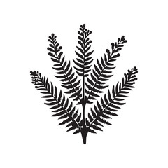 Fern leaf isolated silhouette on white background
