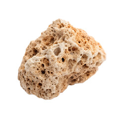 Single weathered dead coral reef piece isolated on a transparent background png