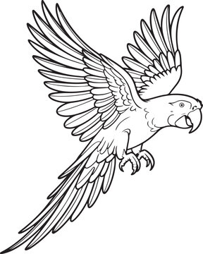 Black and white line drawing of a flying macaw parrot with wings spread Keywords: macaw, parrot, bird