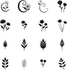 Silhouette Floral Leaf Motifs flower plant