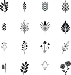 Collection Stylized Botanical Illustrations Floral Icons leaf plant
