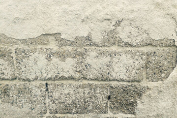 Green grass texture on old concrete wall background