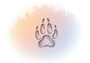 Illustration of Paw Print Design on Abstract Watercolor Background