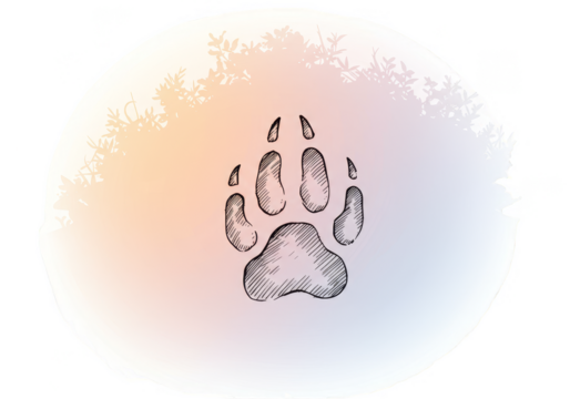 Illustration of Paw Print Design on Abstract Watercolor Background