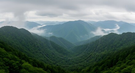 Obraz premium Lush Green Mountain Valley Landscape with Dramatic Cloudy Sky and Fog