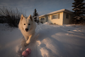 whimsical gingerbread house adorned with pastel virtual projections of delightful candies
